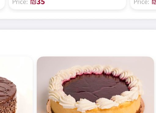 Cheese Blueberry Cake